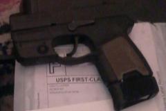 SigP290Brown_44
