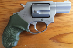 Taurus605ODGreen_45