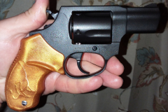 Taurus85GoldTone_31